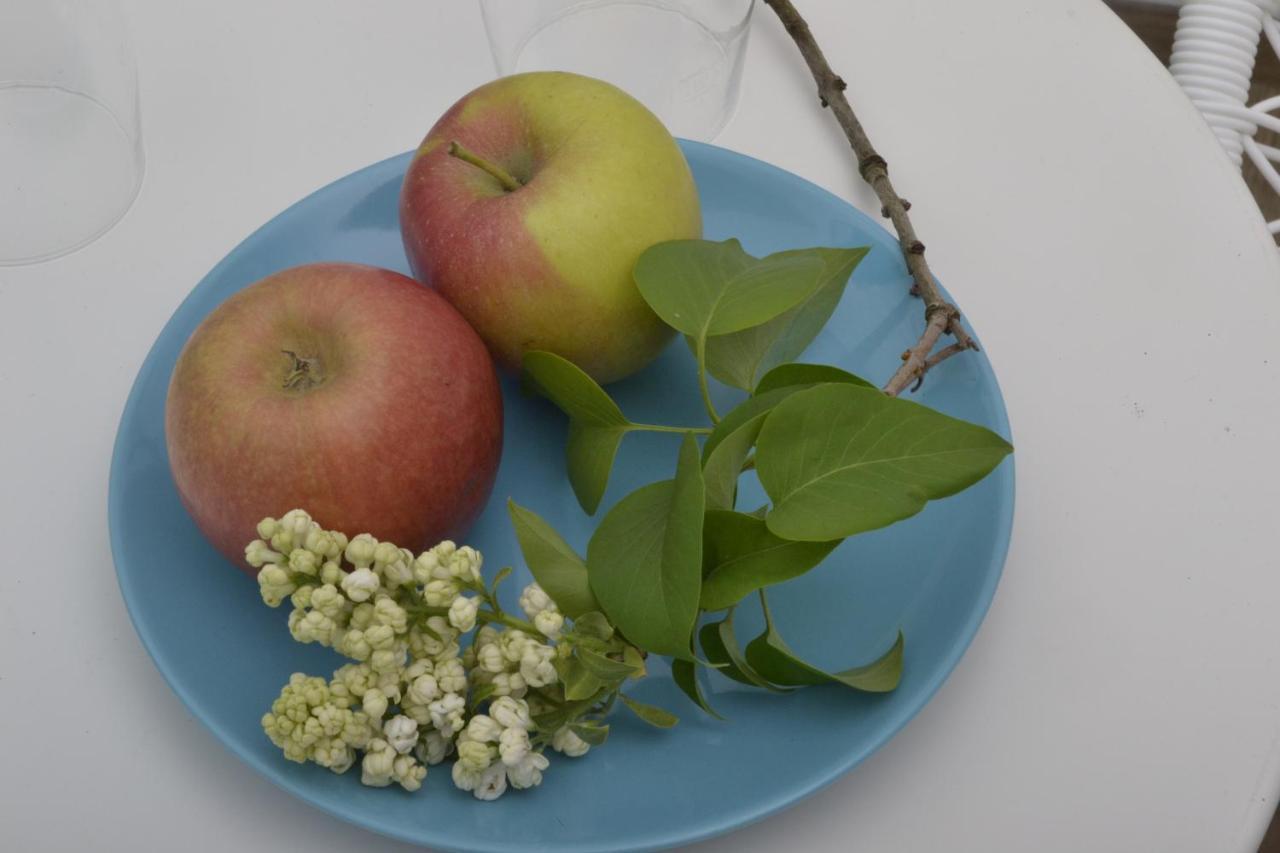 Romantisches Bed&Breakfast Apfelstern Unterwornitz Buitenkant foto